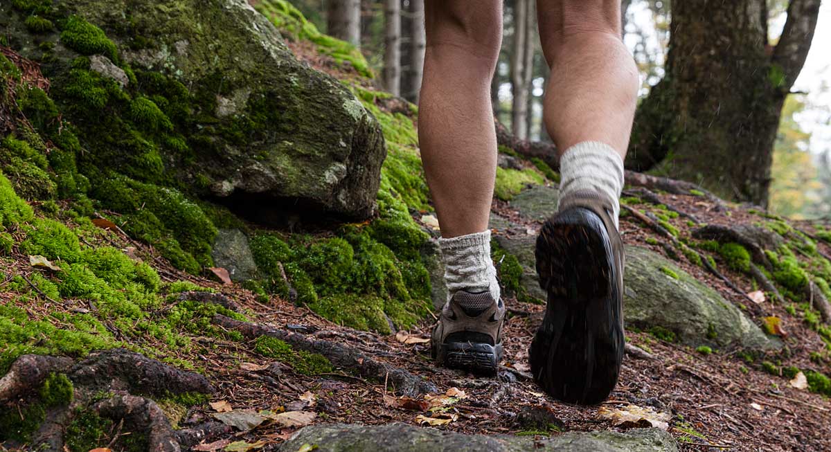 Der Bayerische Wald - Freizeit und Ausflugstipps
